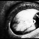 Illustration for article titled Shooting Challenge Eye Gallery 1